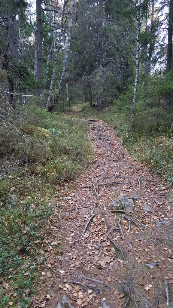 Omväxling förnöjer!