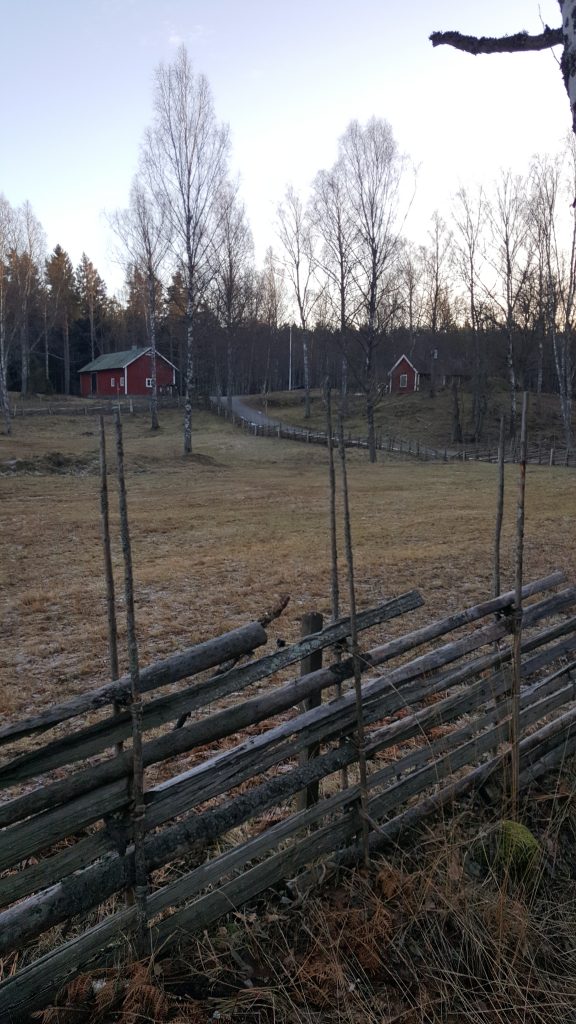 Julvecka och mysigt långpass i skogen